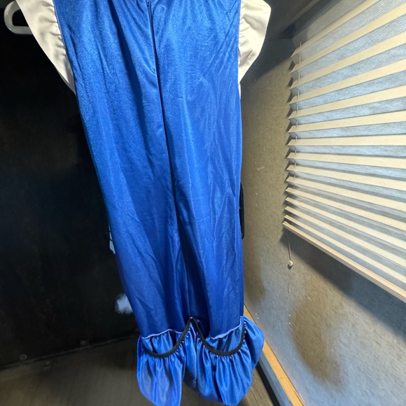 Halloween Costume Alice In Wonderland - Picture 6 of 9